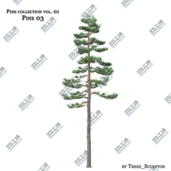 images/goods_img/20210312/Pine Collection Vol. 01/5.jpg